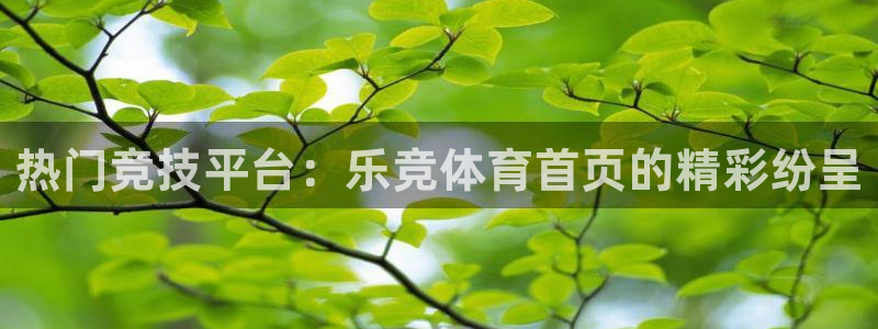 加拿大ng28预测：热门竞技平台：乐竞体育首页的精彩纷呈
