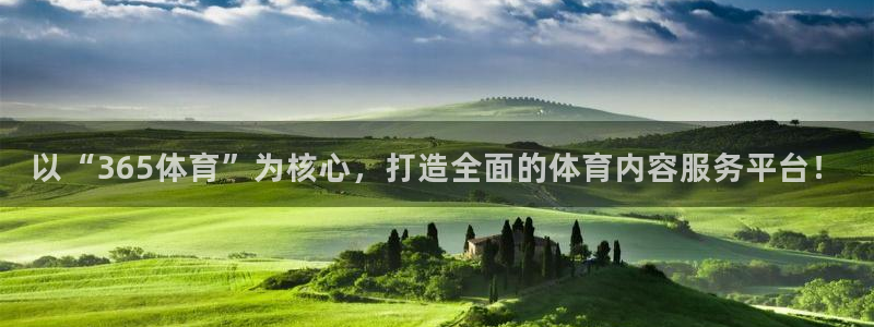 ng28苹果安装包下载：以“365体育”为核心，打造全面的体育内容服务平台！