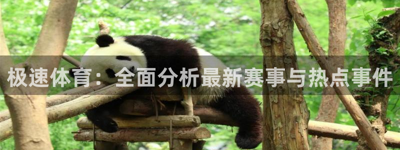 ng28苹果版免费下载：极速体育：全面分析最新赛事与热点事件