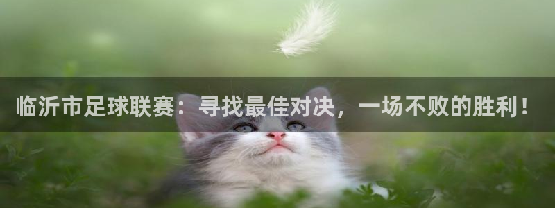 ng28pg官网：临沂市足球联赛：寻找最佳对决，一场不败的胜利！