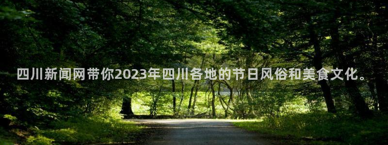 ng28娱乐最新活动：四川新闻网带你2023年四川各地的节日风俗和美食文化。