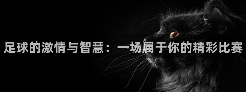 ng28安装包链接：足球的激情与智慧：一场属于你的精彩比赛