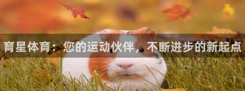ng28..com：育星体育：您的运动伙伴，不断进步的新起点