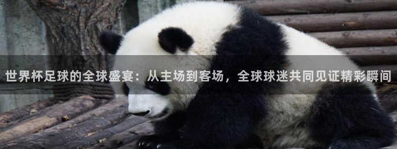 南宫ng28相信品牌：世界杯足球的全球盛宴：从主场到客场，全球球迷共同见证精彩瞬间