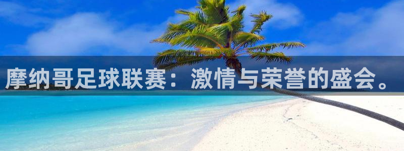ng28相信品牌的力量下载：摩纳哥足球联赛：激情与荣誉的盛会。