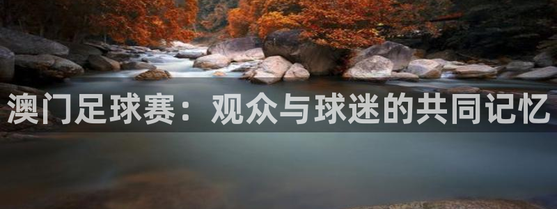 ng28.apk：澳门足球赛：观众与球迷的共同记忆