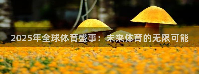 南宫ng28相信品牌的力量网址