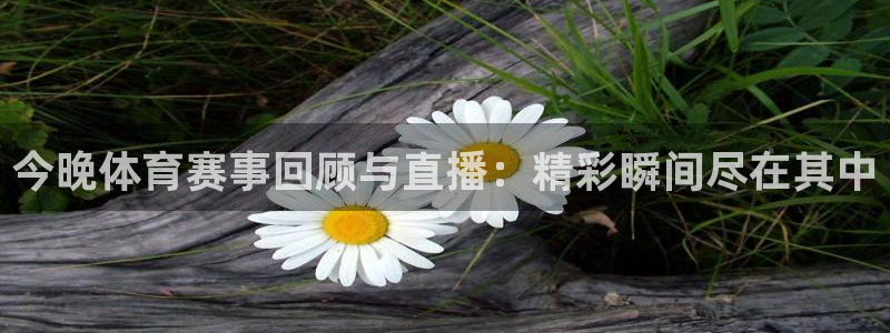 ng28注册下载链接
