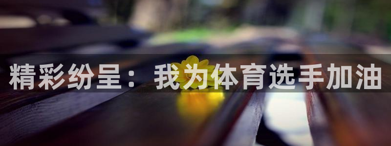 ng28官网入口下载