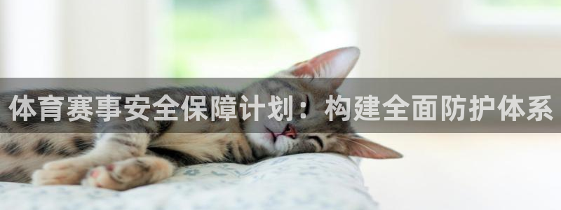 相信品牌的力量ng28：体育赛事安全保障计划：构建全面防护体系